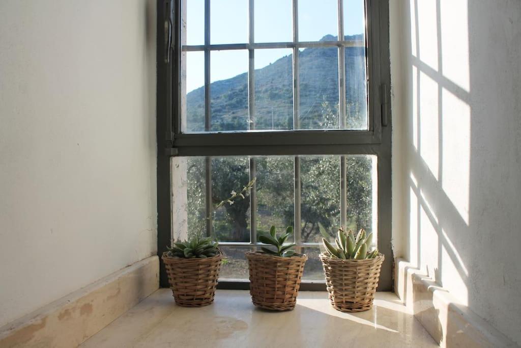Casa Masseria Dell'800 Gargano. Le Mignole Monte Sant'Angelo Eksteriør billede