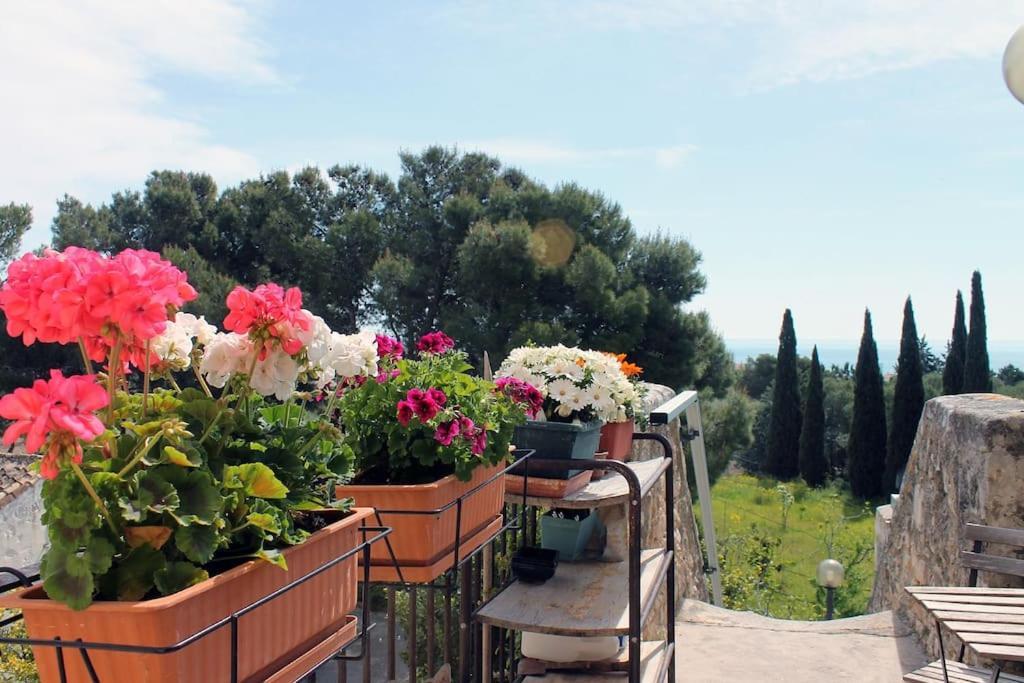 Casa Masseria Dell'800 Gargano. Le Mignole Monte Sant'Angelo Eksteriør billede